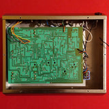 Electro-Harmonix Deluxe Memory Man (PICO board) w/power supply